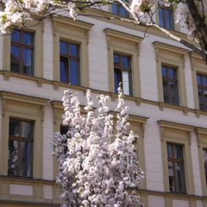 Schoenhouse Apartments