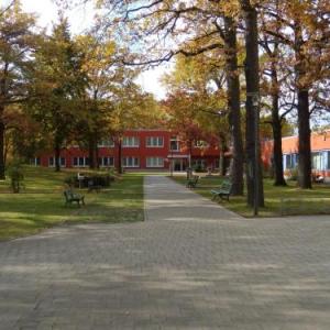 Gastehaus Pauline Berlin