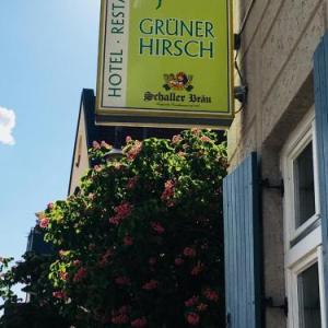 Gruner Hirsch