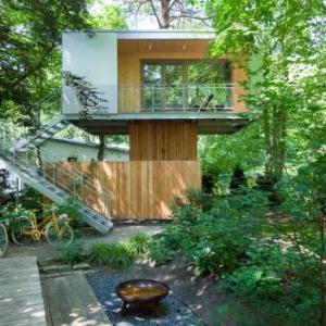 Urban tree House