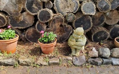 ApartHotel Landhaus Lichterfelde - image 7