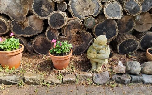 ApartHotel Landhaus Lichterfelde - image 7