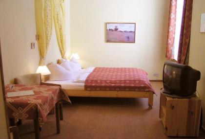Hotel Pension Senta - image 9