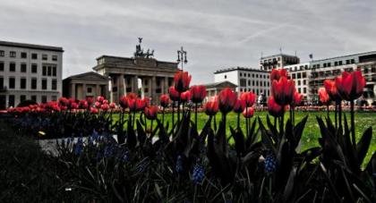 BNB Potsdamer Platz - Rooms & Apartments - image 1