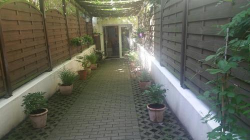 Pension Tempelhof - image 7