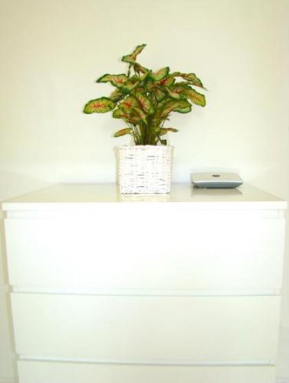 Rooms & Apartment near Zoologischen Garten - image 12
