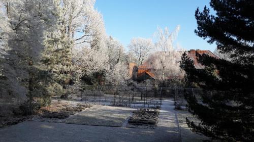 Gäste- und Tagungshaus am Glockengarten - image 5