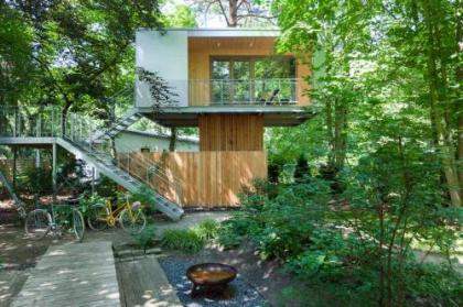 Urban Tree House - image 1