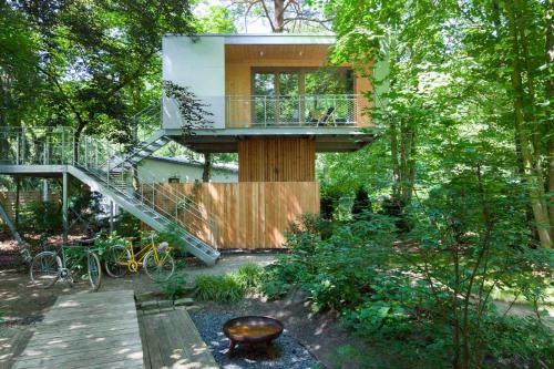 Urban Tree House - main image