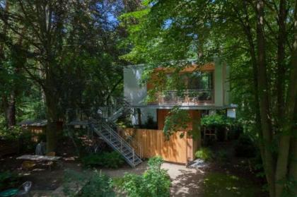 Urban Tree House - image 13
