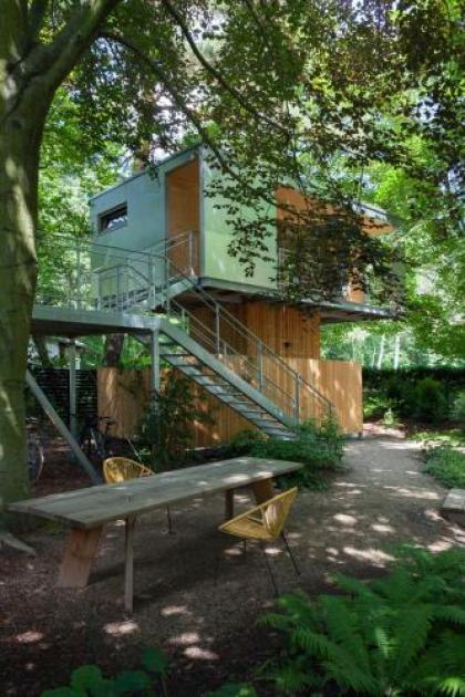 Urban Tree House - image 15