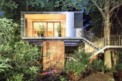 Urban Tree House - image 7