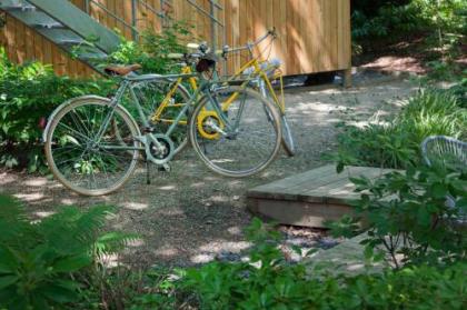 Urban Tree House - image 9