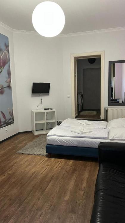 Albert rooms - image 6