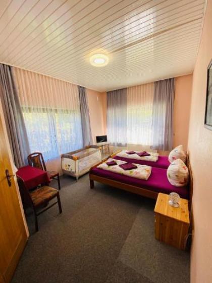 Hotel Pension Pamina - image 17