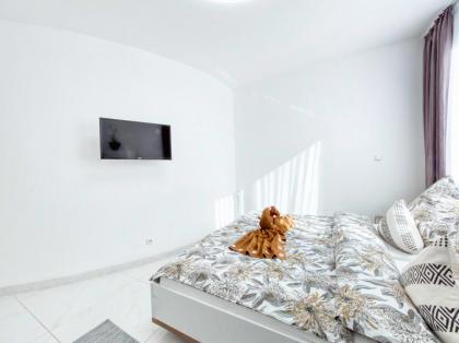 AMANDA - image 21