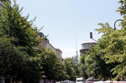 Hide in Berlin  in Prenzlauer Berg - image 3