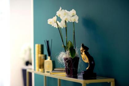 M-Pire Hotel Berlin - image 6
